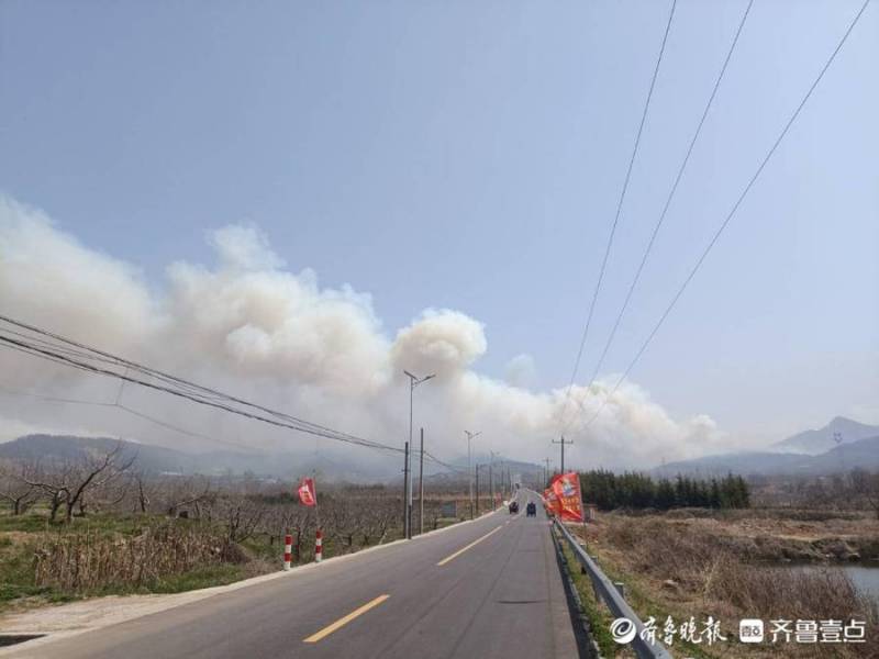 威海烟台交界处山火明火基本扑灭 过火面积达数十亩