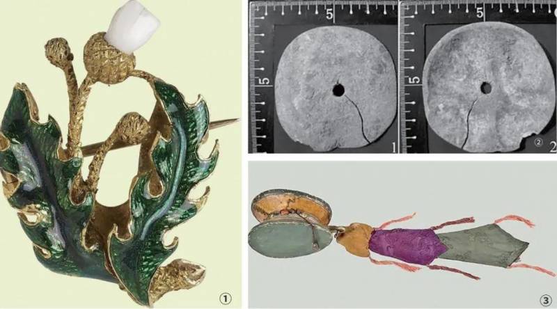 人类遗骸清理，揭示古代葬俗与信仰