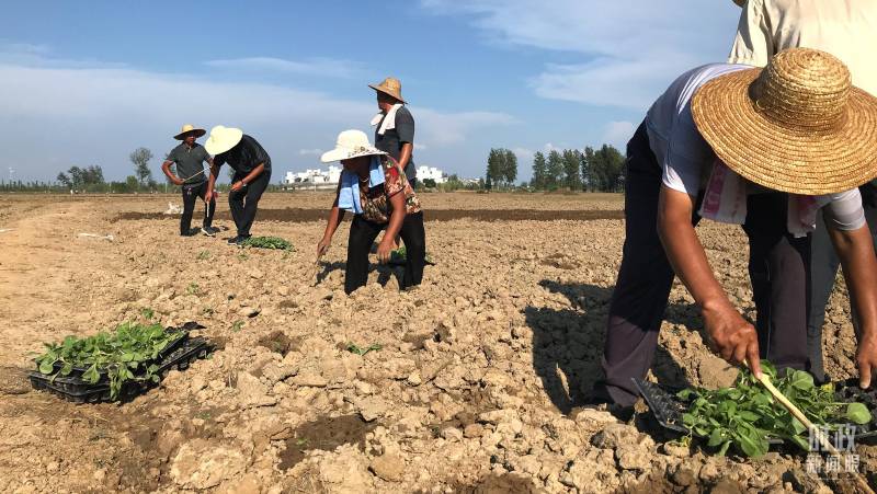 关注黑龙江，习近平考察受灾地区，重点关注民生重建