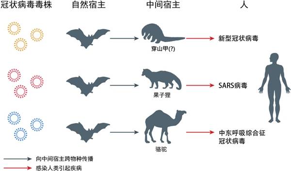 比台风天更恐怖的灾难，比尔盖茨预警新病毒威胁