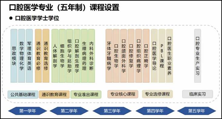 武汉口腔医学专业，就业前景广阔，武汉大学口腔医学引领行业前沿！