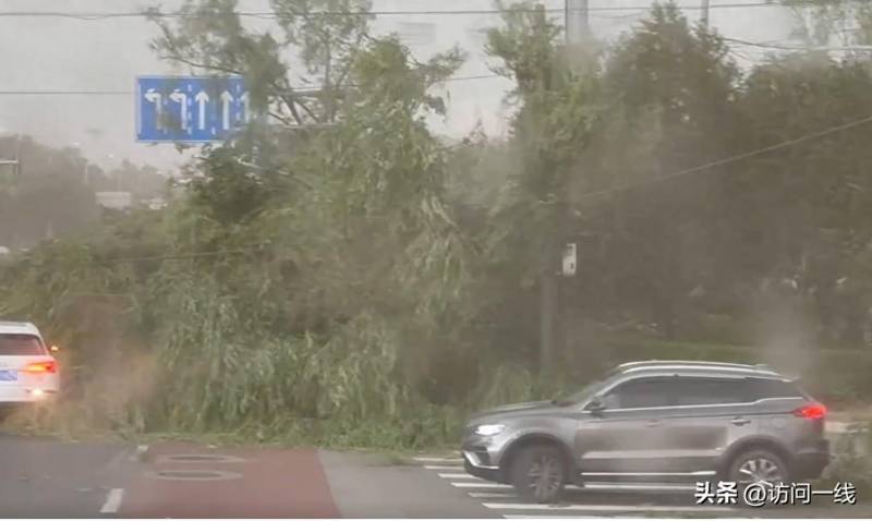 北京暴雨来袭！多点位路旁大树被风吹倒