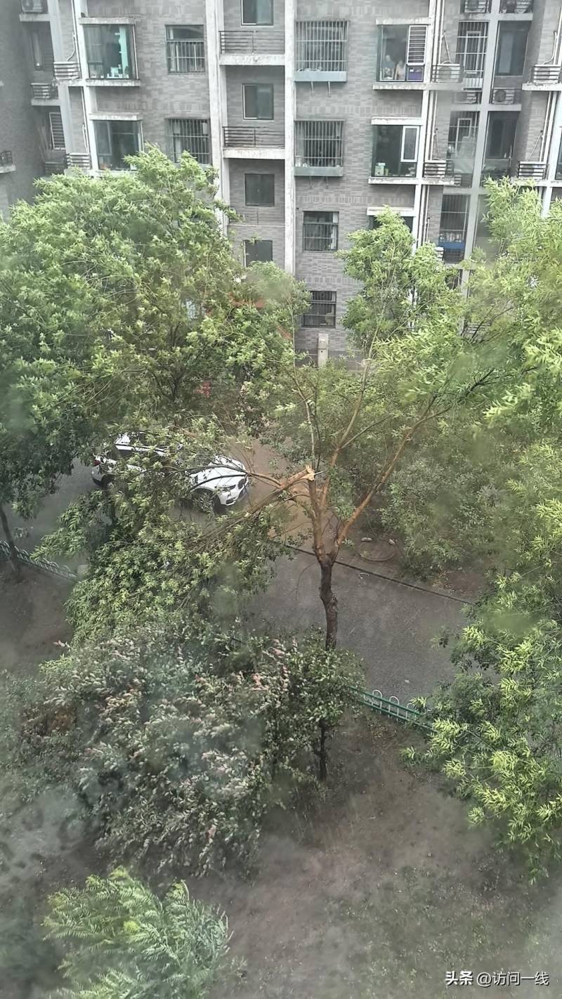 北京暴雨来袭！多点位路旁大树被风吹倒