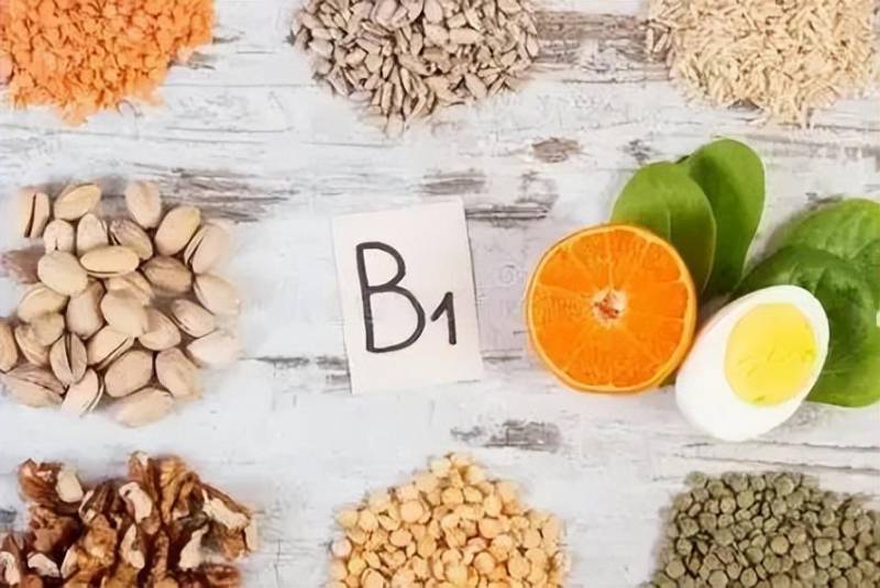「營養」維生素B1的重要性與食物來源