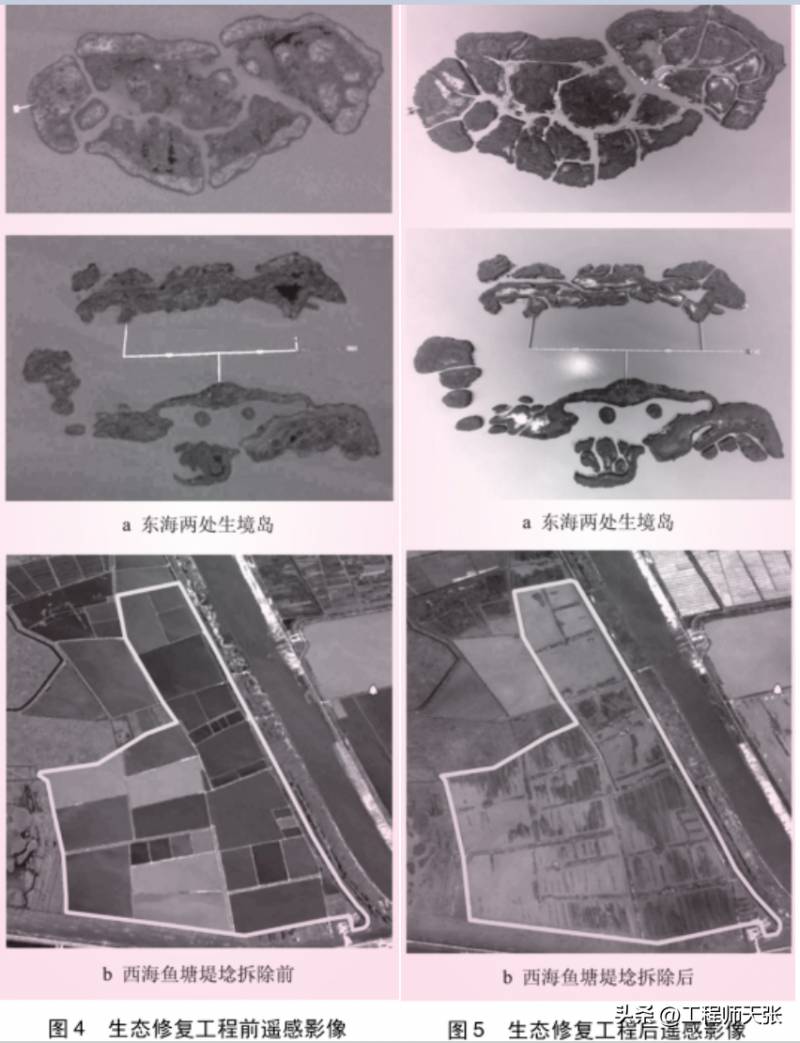 天津七里海湿地公园，揭秘中国北方的重要湿地生态