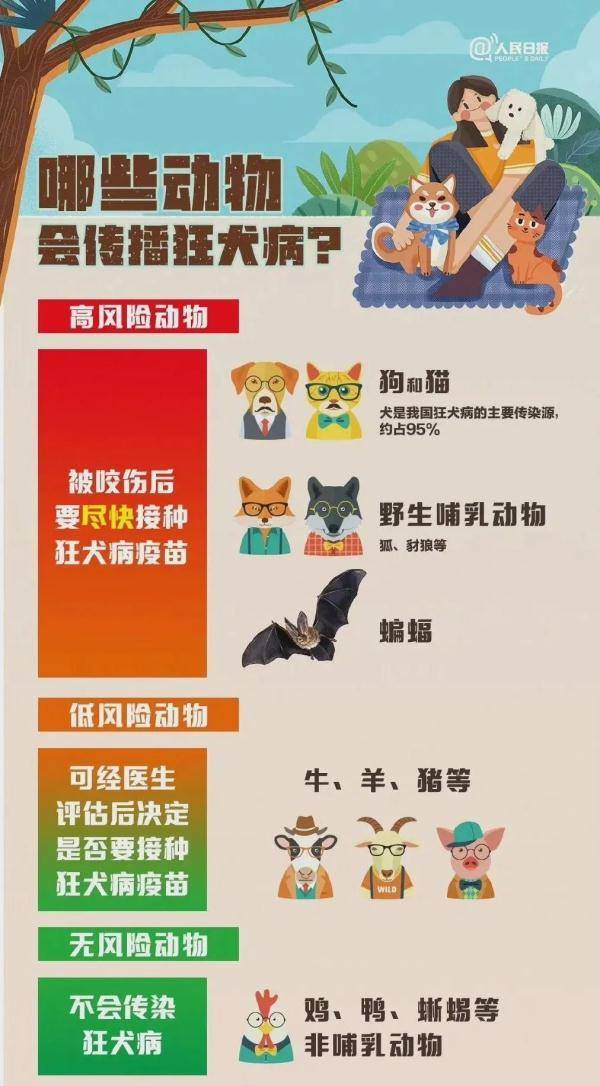 疯狗袭童，家养犬勇猛相救，感人一幕！