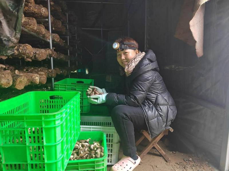 【央媒省媒看平山】石家庄平山，推进乡村振兴战略 助力群众增收致富