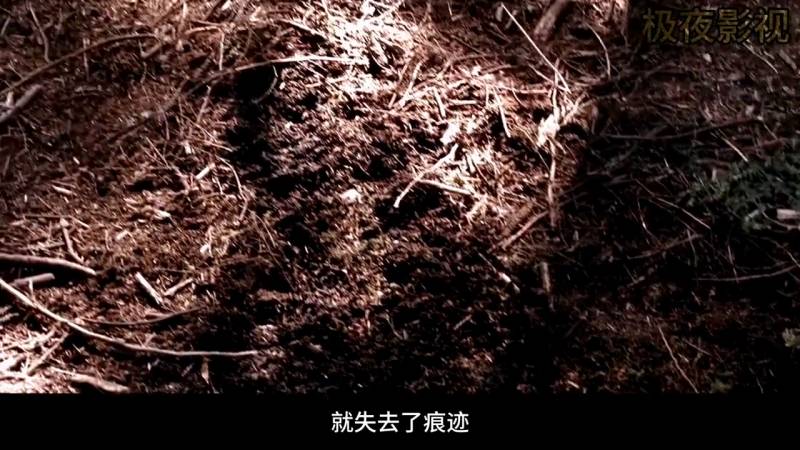 《邪恶力量》第九季第4集，剧情解析与精彩片段