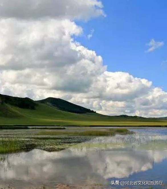 河北最美湿地公园，踏青赏花观鸟，度过了美好的一天