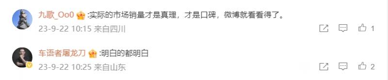 微博高级副总裁发文质疑比亚迪，引发网友热议深思