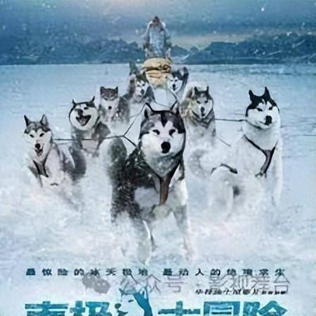 八條雪橇犬被畱在南極，冰原英雄，勇敢的雪橇犬傳奇