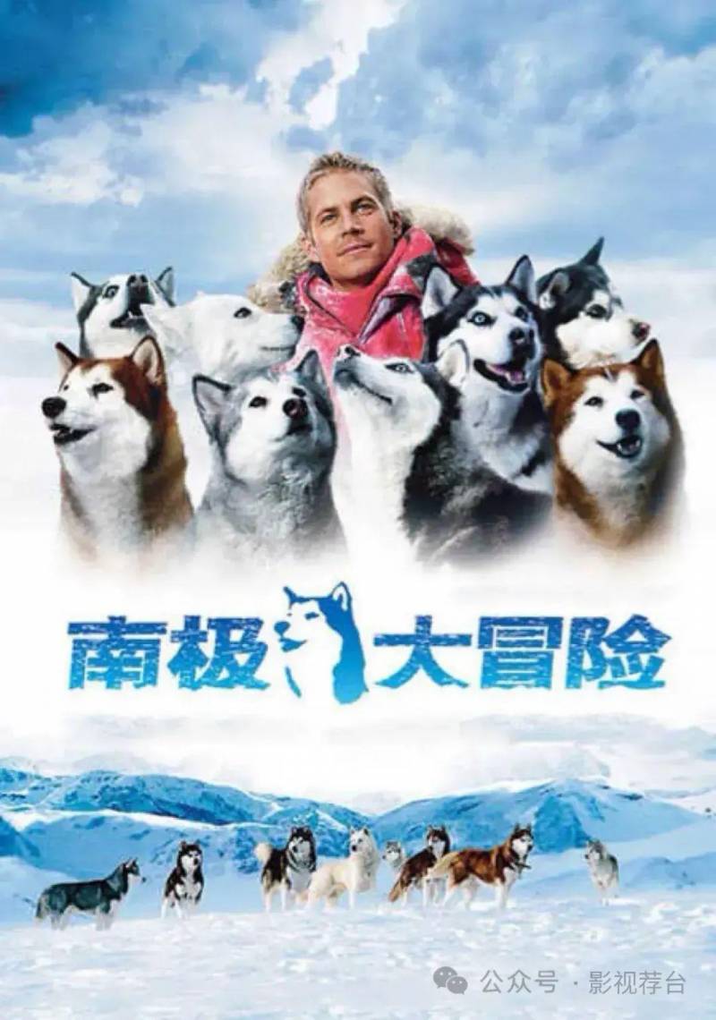 八条雪橇犬被留在南极，冰原英雄，勇敢的雪橇犬传奇