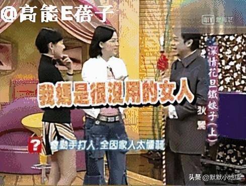 狄莺过往黑历史被扒，暴打蓝洁瑛、巨婴儿子入狱