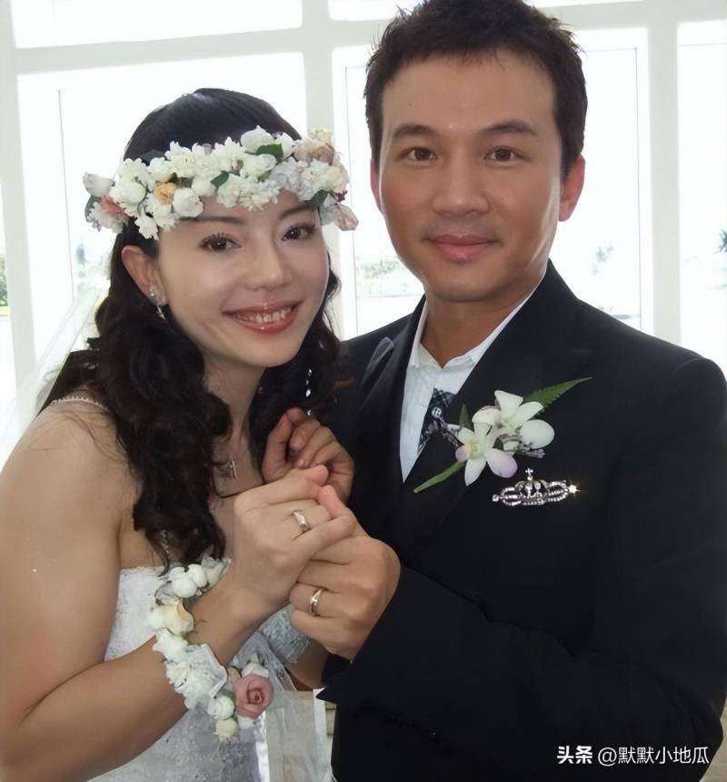 狄莺过往黑历史被扒，暴打蓝洁瑛、巨婴儿子入狱