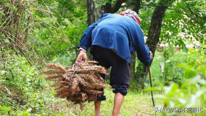 千里之外的遗憾，疫情阻隔团圆，离世前的思念无言