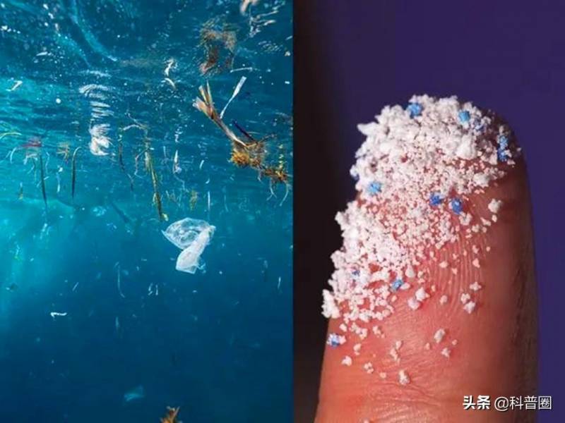塑料已进入人类体内，研究人员揭示微塑料污染对人体器官的影响