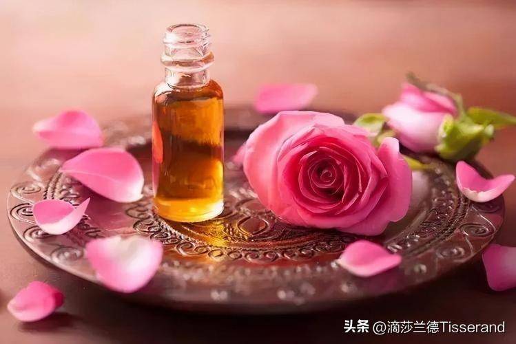 悟薏老师讲精油，解锁薰衣草的舒缓魔力