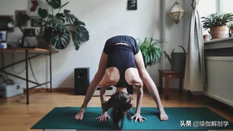 瑜伽初级教程在家练，21天轻松掌握基本动作