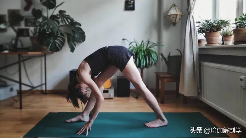 瑜伽初级教程在家练，21天轻松掌握基本动作