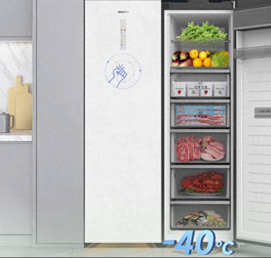 澳柯玛立式冷柜，锁住新鲜，尽享美食时光