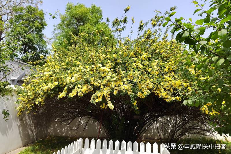 走进北京鲁迅故居，感受文学巨匠的留痕