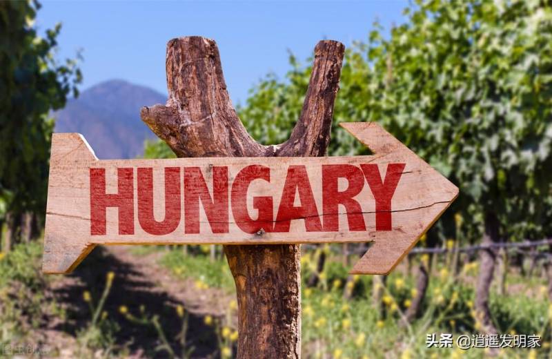 《安利一支匈牙利干白葡萄酒，白频道103谈匈牙利葡萄酒文化和历史》