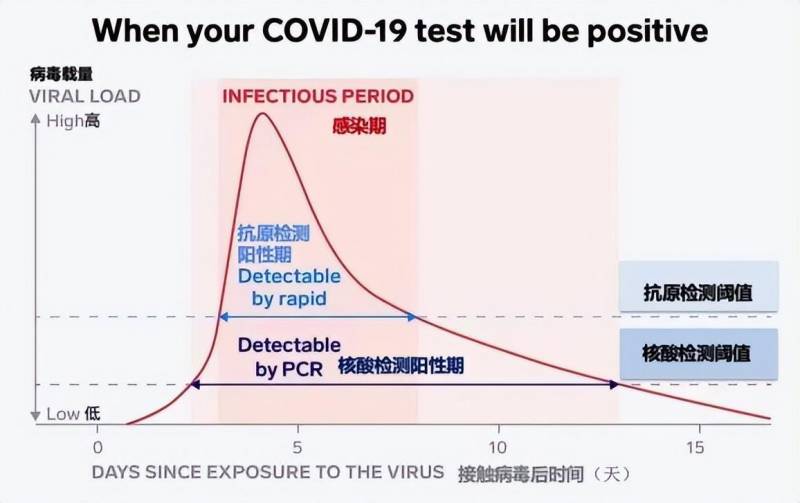 抗原检测两条杠什么意思？一文详解抗原检测操作流程及结果解读