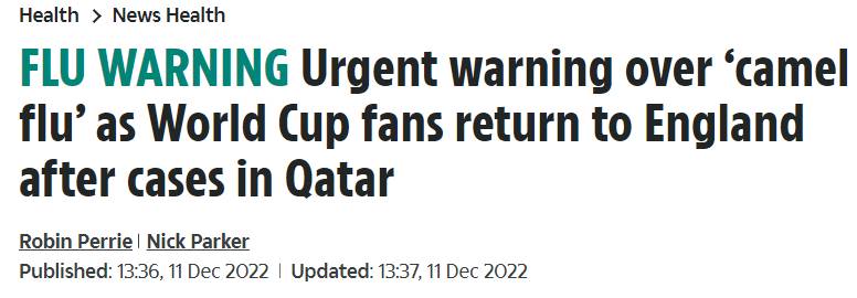 了解骆驼流感，卡塔尔世界杯“骆驼流感”真相