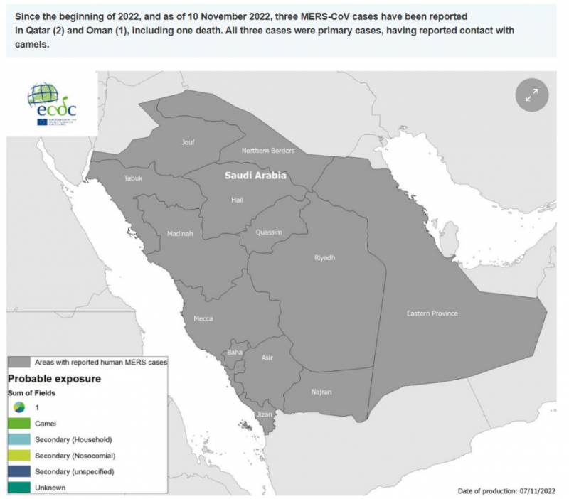了解骆驼流感，卡塔尔世界杯“骆驼流感”真相